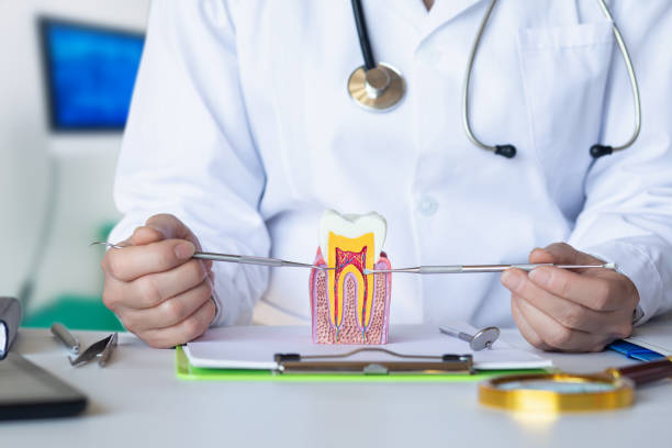Best Emergency Treatment for Dental Infections or Abscesses in Rocky Point, NC